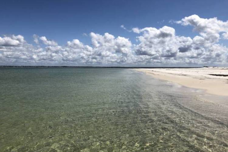 Beach Shoreline on the North end of Cape San Blas in Florida