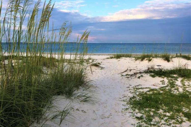 St Joe Beach