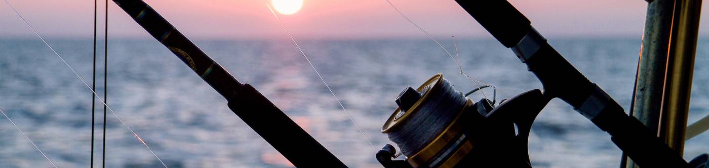 Fishing and Boating at Florida's Gulf Coast