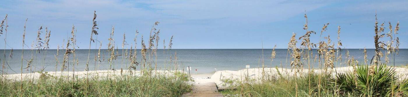 Beach view from Rental